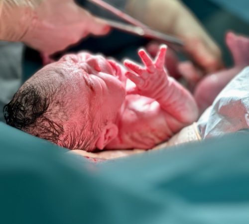 cropped-hand-man-holding-hands cropped-hand-man-holding-hands