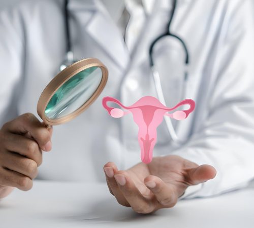 doctor-white-coat-checkup-uterus-reproductive-system-womens-health-pcos-ovary-cancer-treatment-examine-healthy-feminine doctor-white-coat-checkup-uterus-reproductive-system-womens-health-pcos-ovary-cancer-treatment-examine-healthy-feminine